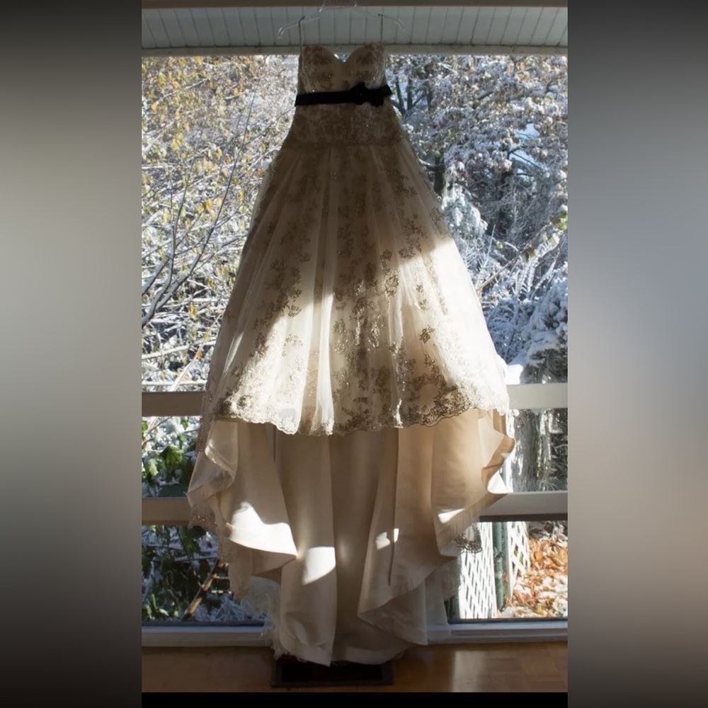 Wedding dress. Beautiful sparkly white and beige color